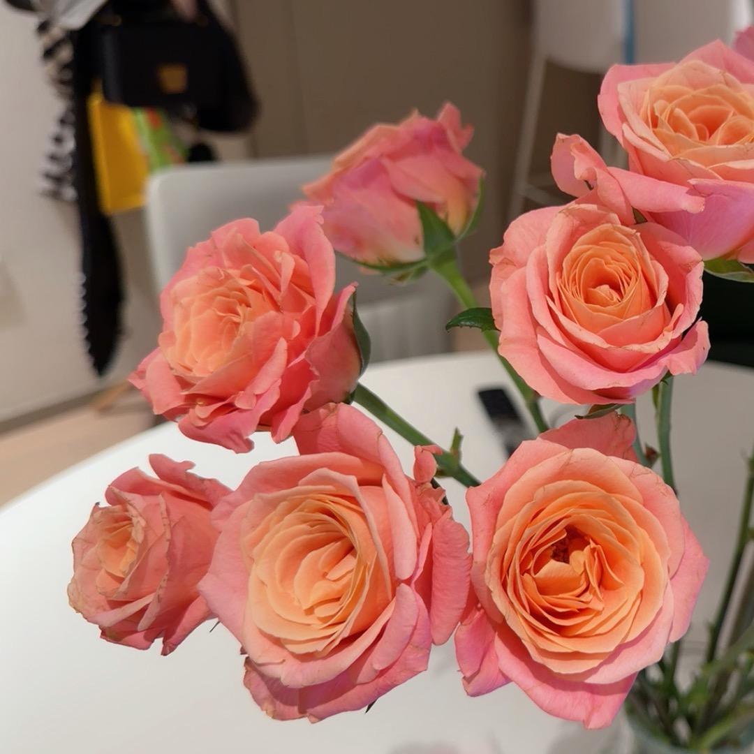 小胖的奋斗人生