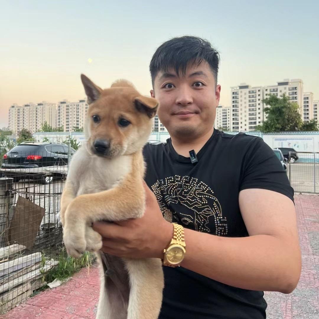 查德带你选好狗