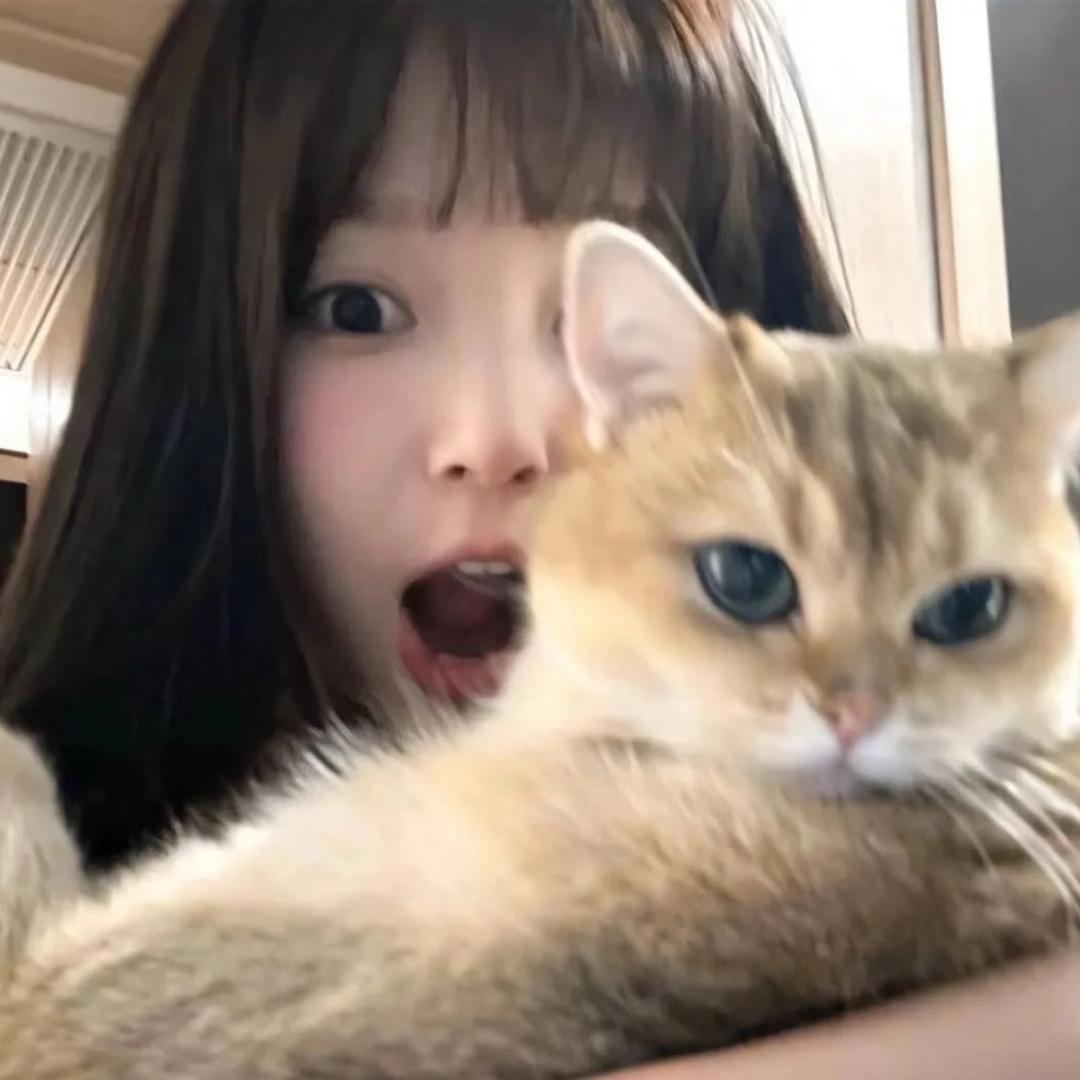 一点也不芒