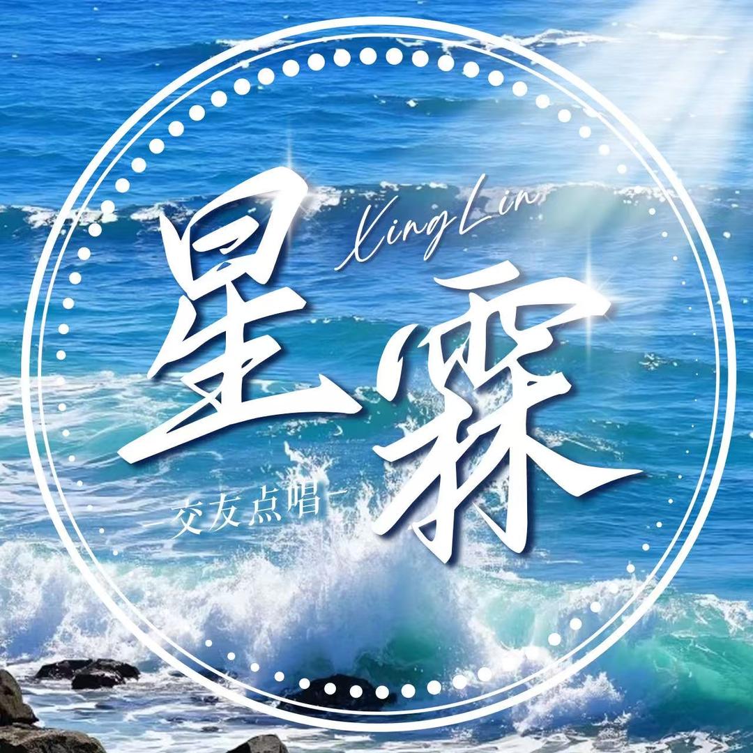 星霖-点唱👑