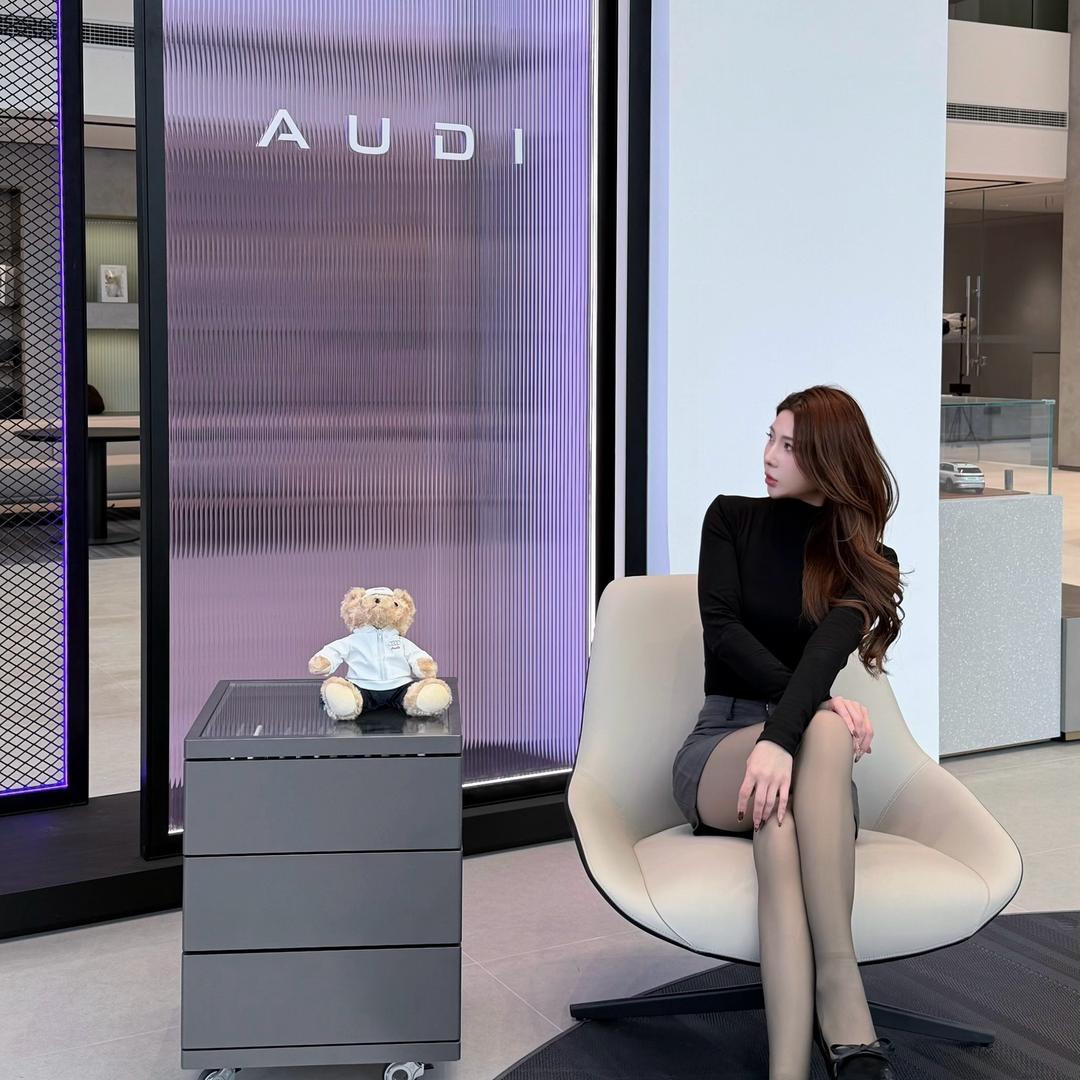 AUDI上汽奥迪栗子