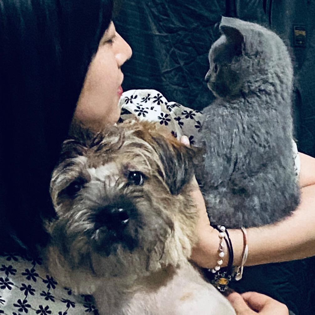 海霸王小美