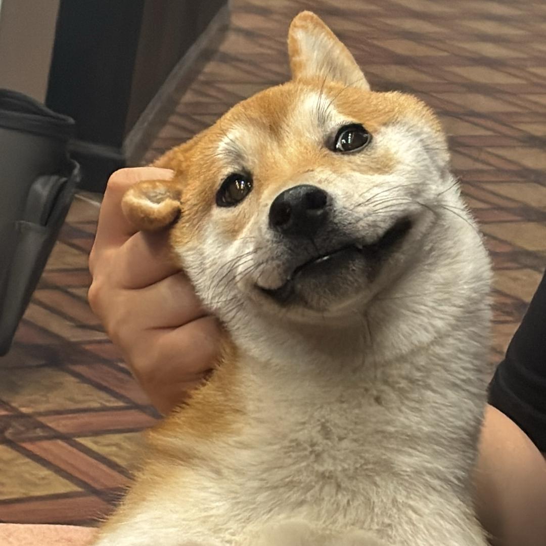 漫漫漫啊