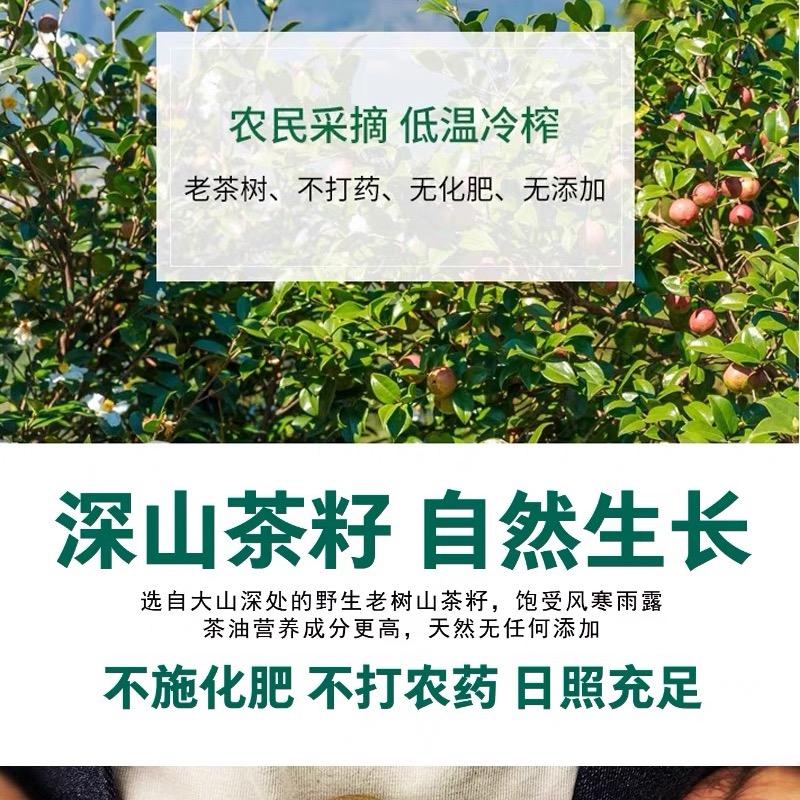 大山里的燕子夫妇