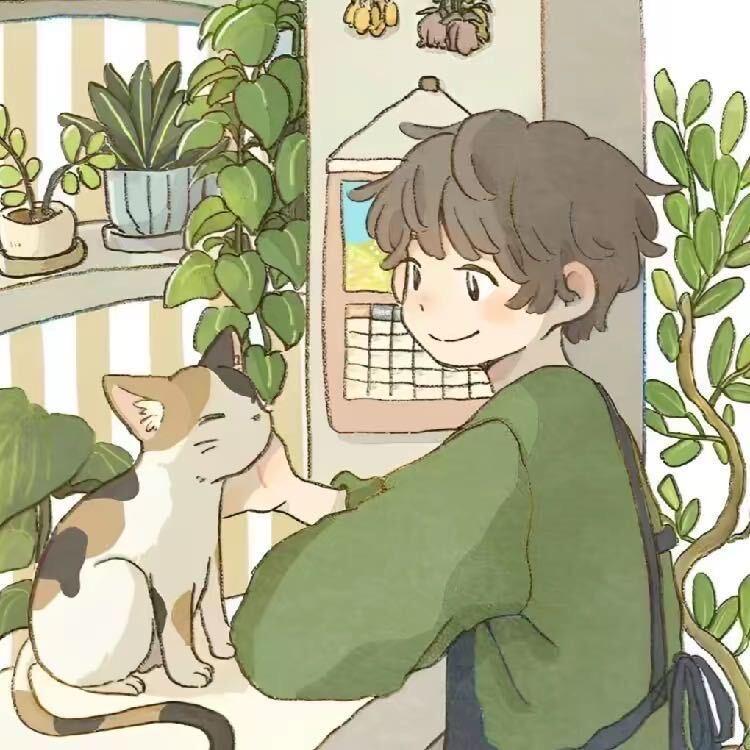 枫十二