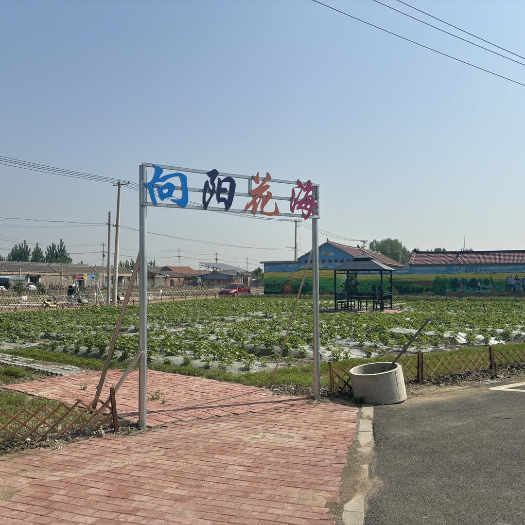 强村富民吴家辛