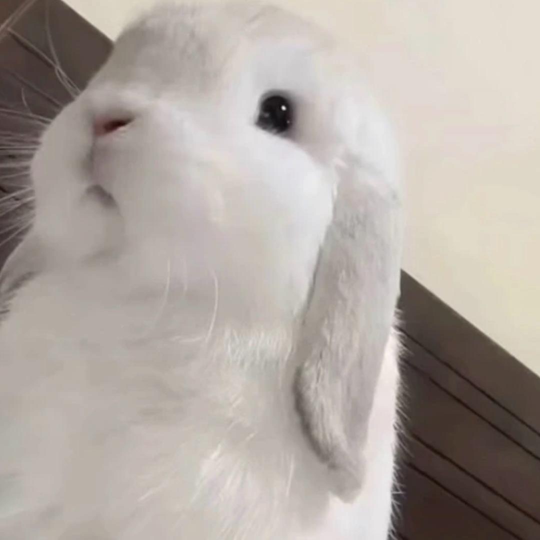 秋秋了