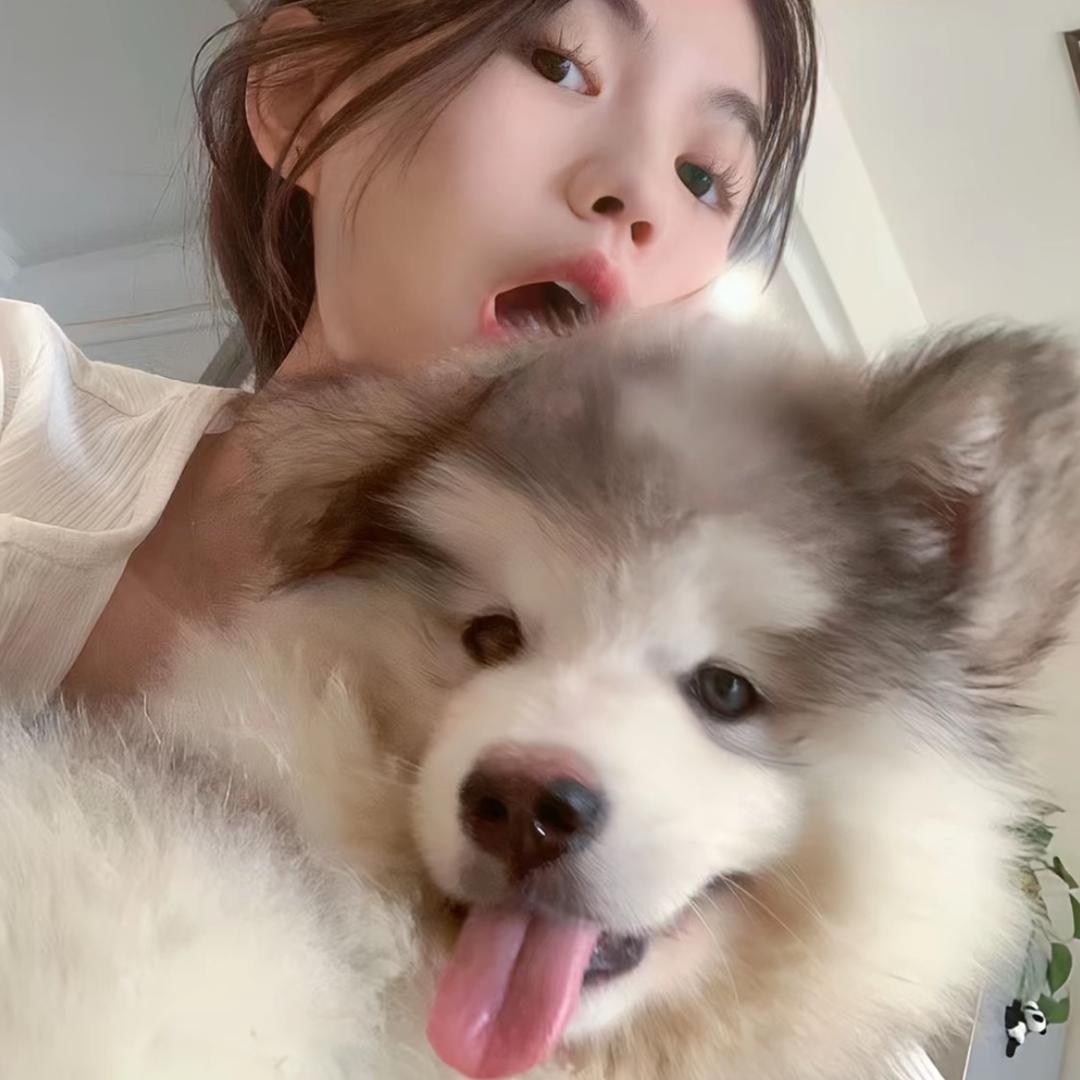 .  Y