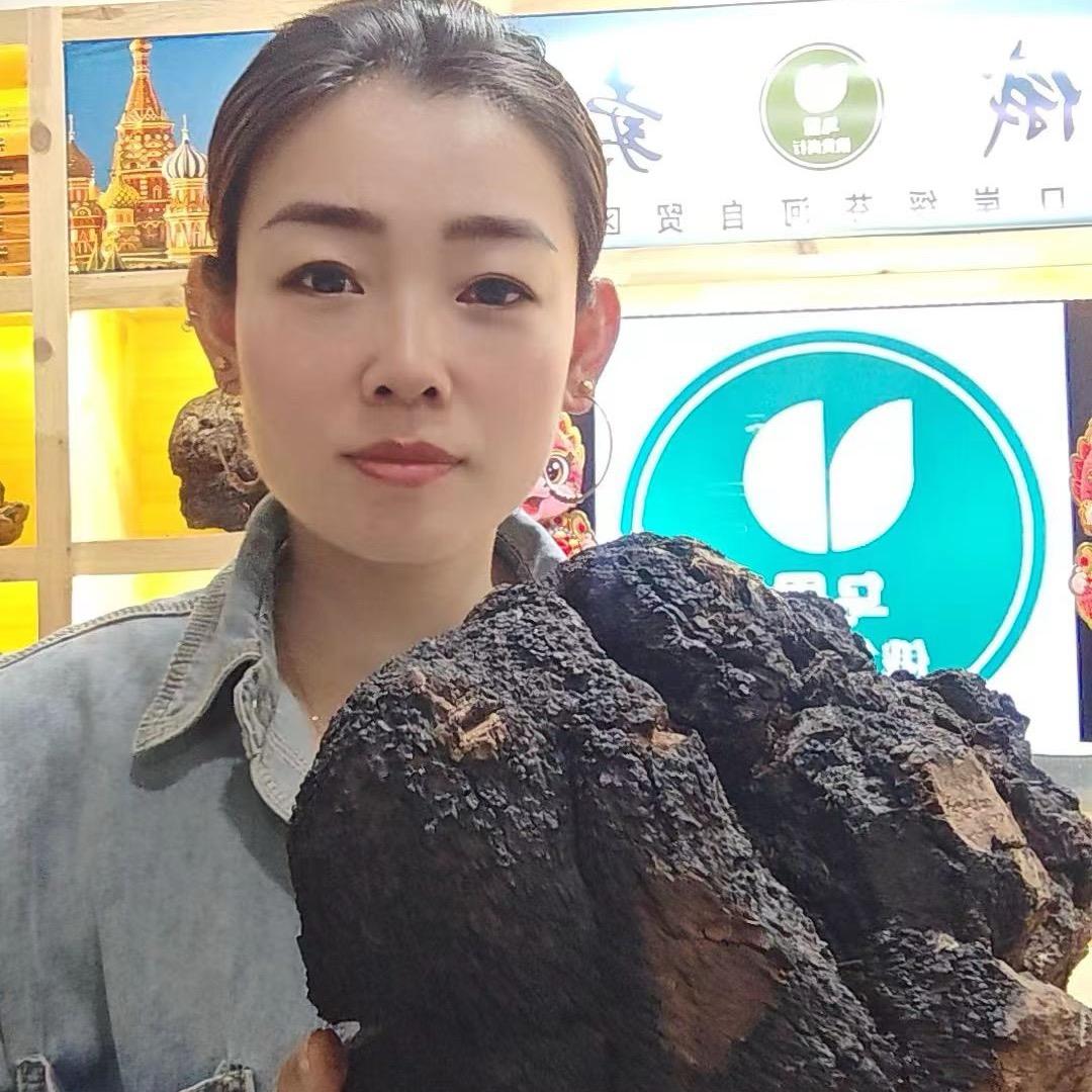 乌里俄桦树茸