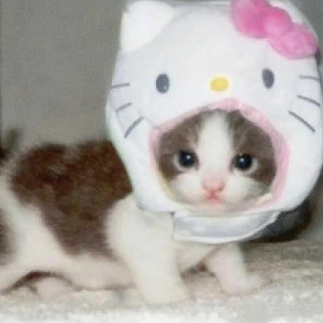 青苹狗