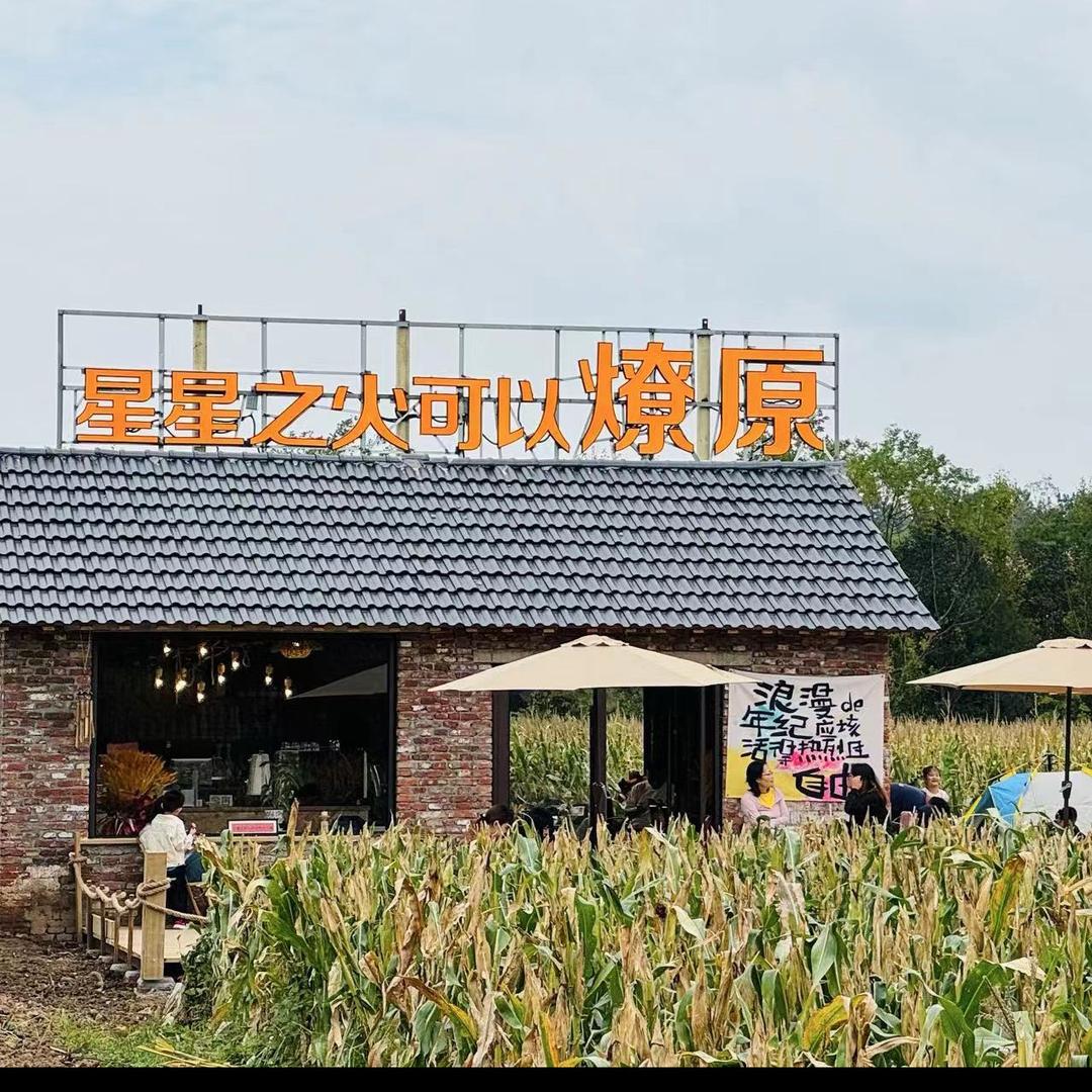 爱吃橙子的烧麦