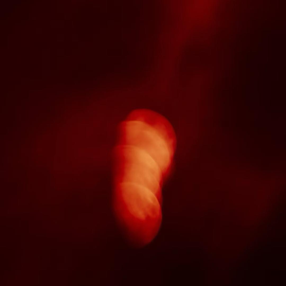 32643315373
