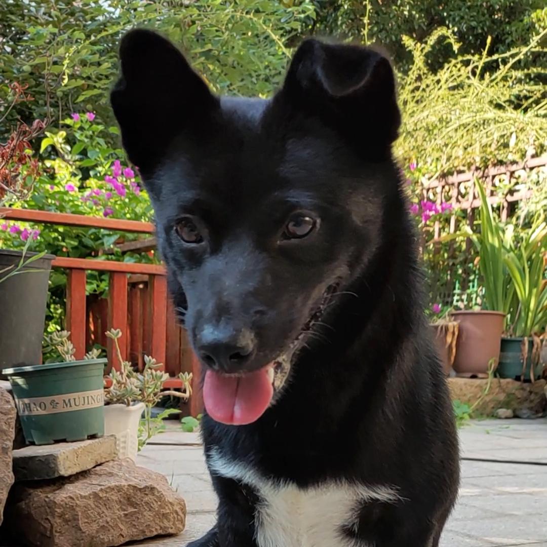 今天你快乐么？