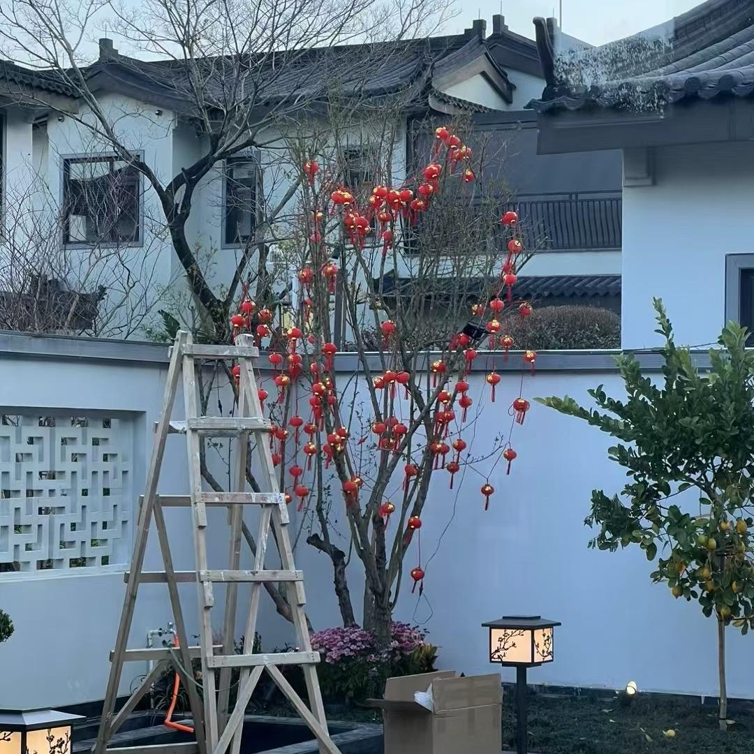 乐悠刘