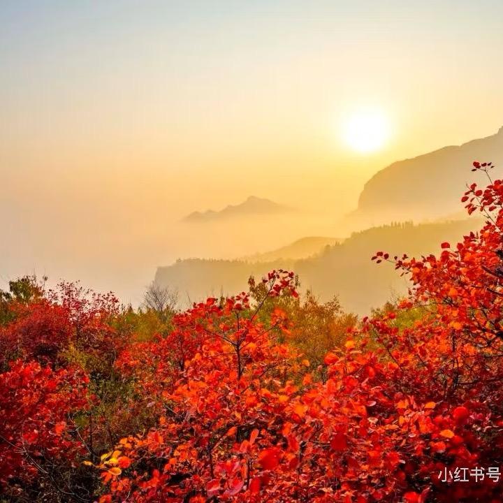 洛阳荆紫仙山线上团购