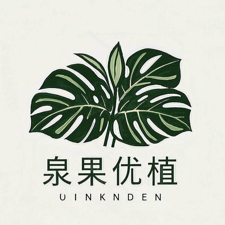 泉果花卉绿植