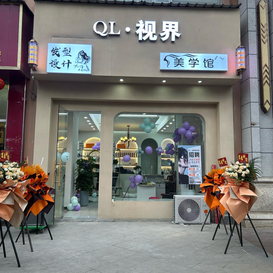 QL·视界