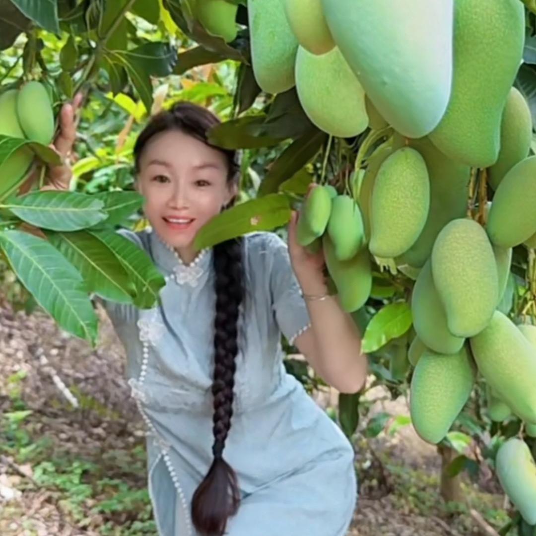 壮乡小草乡村日志