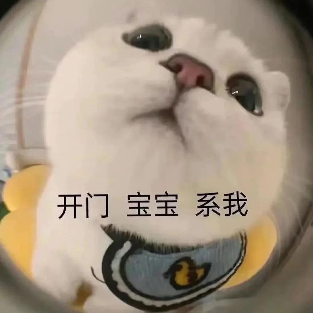 🌈祁.