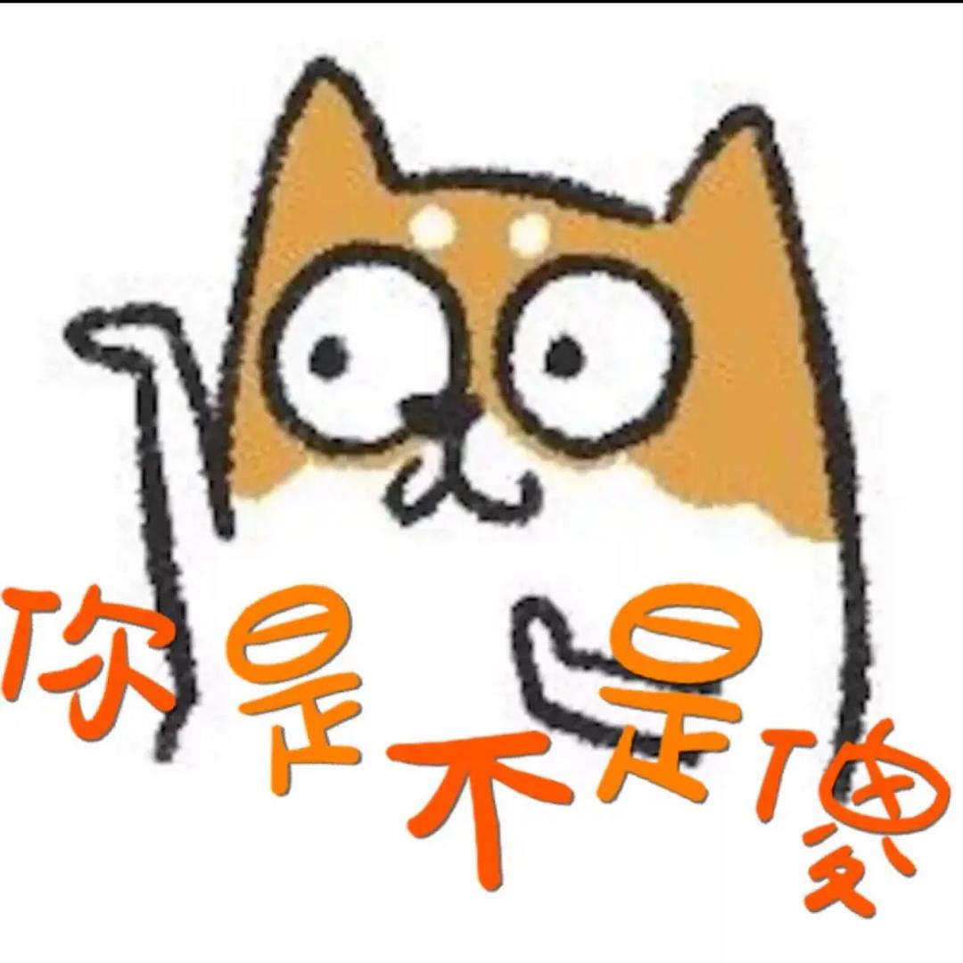 龙哥头像