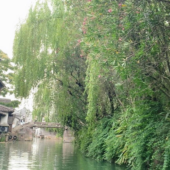 郑州市二七区华豫茗茶行头像