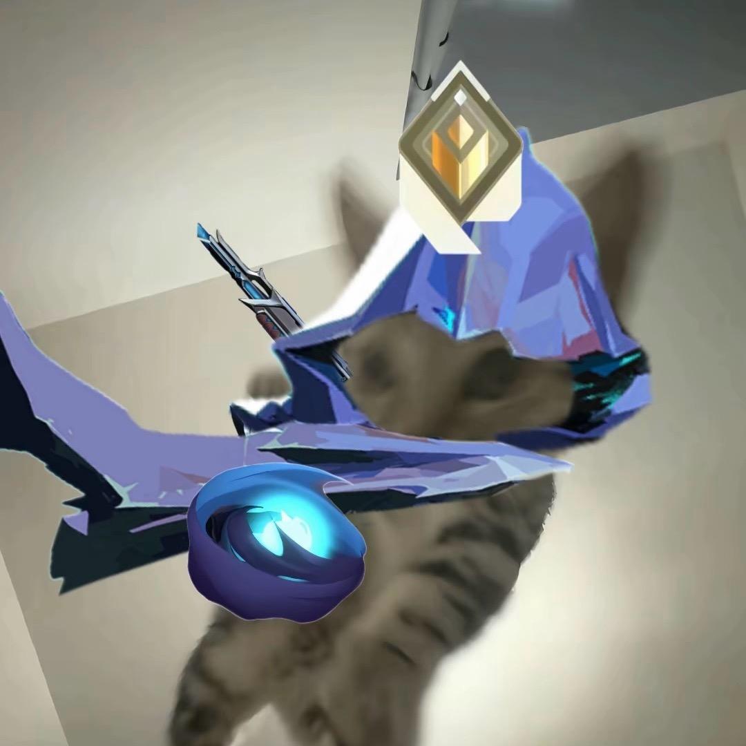 这不是外呱[也够音]