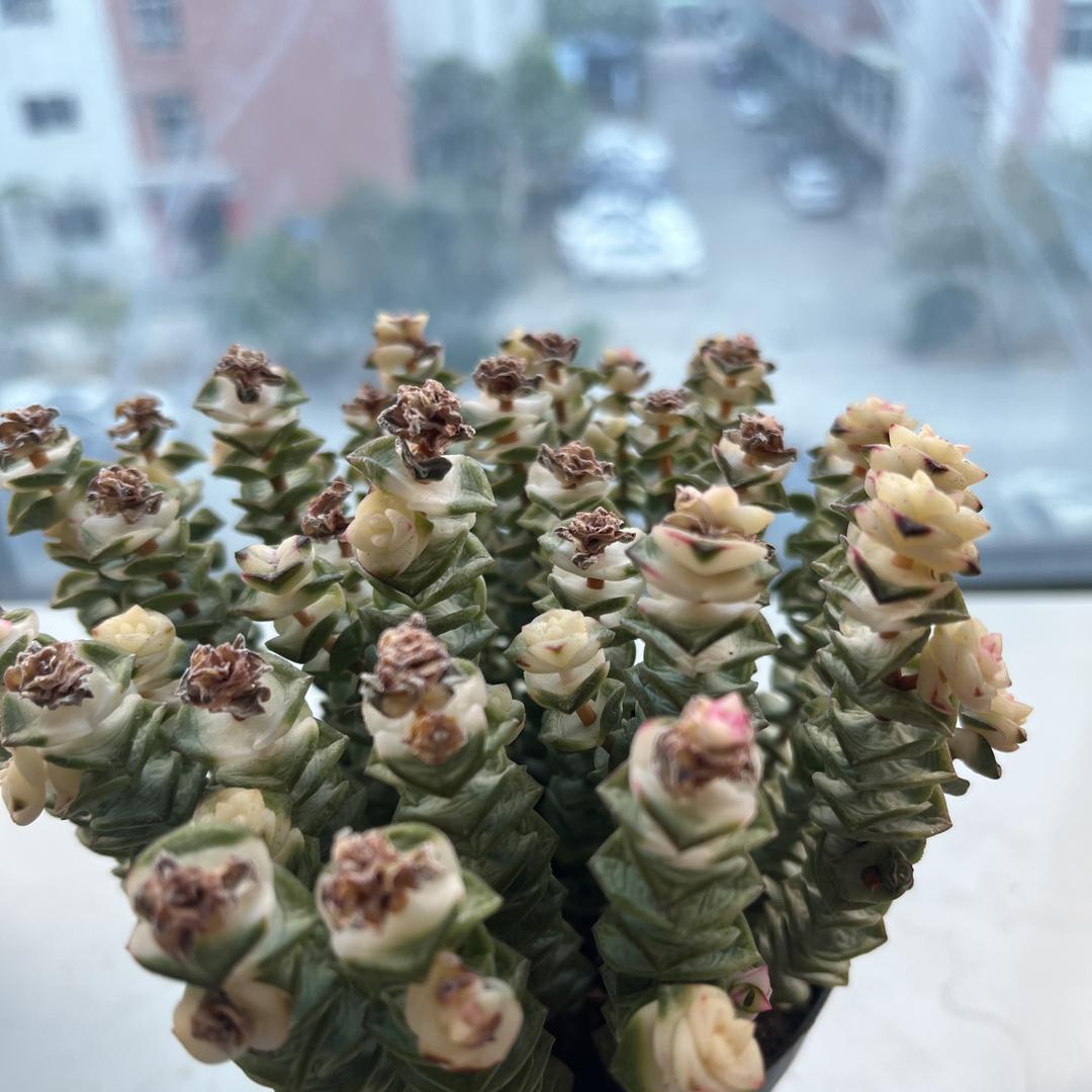 @明米科技