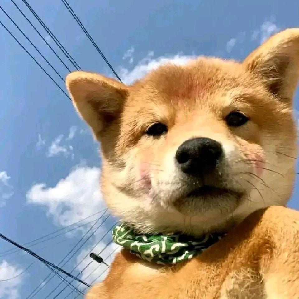 唐十七（三角洲行动）