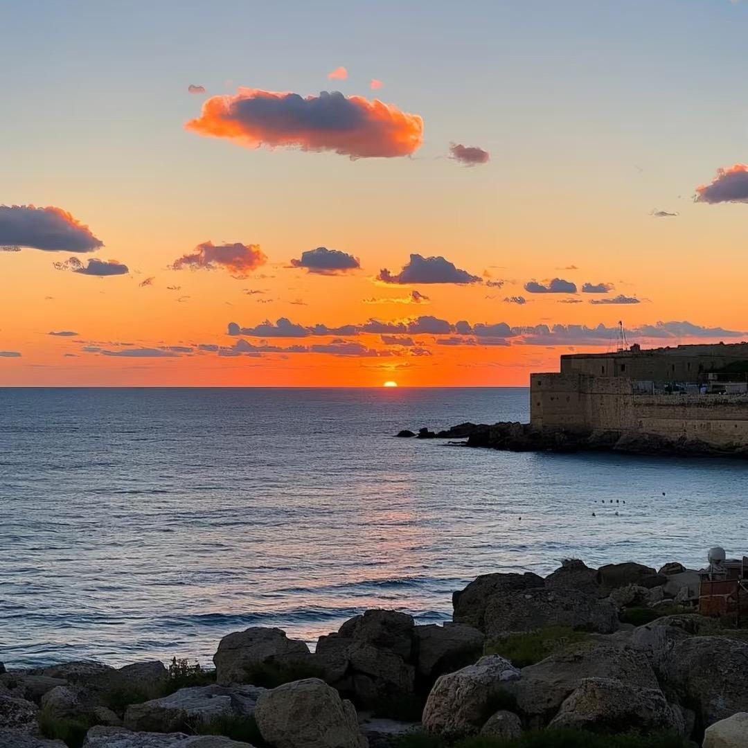 芋头（孕晚期）