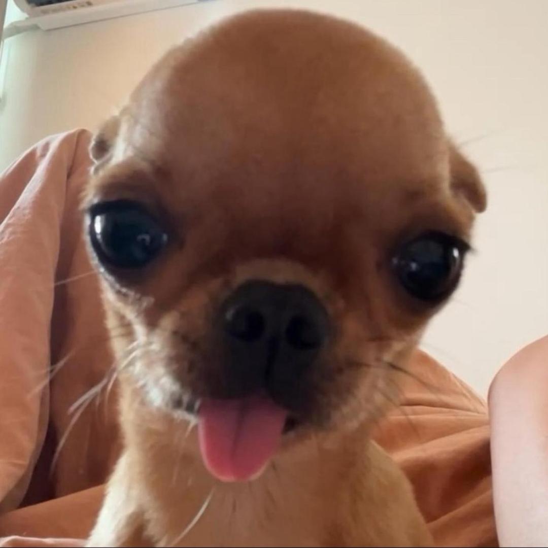 坚强的小强强