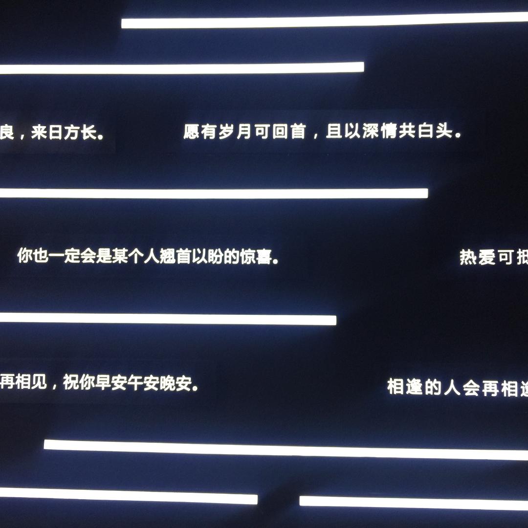 设计师-聂小倩
