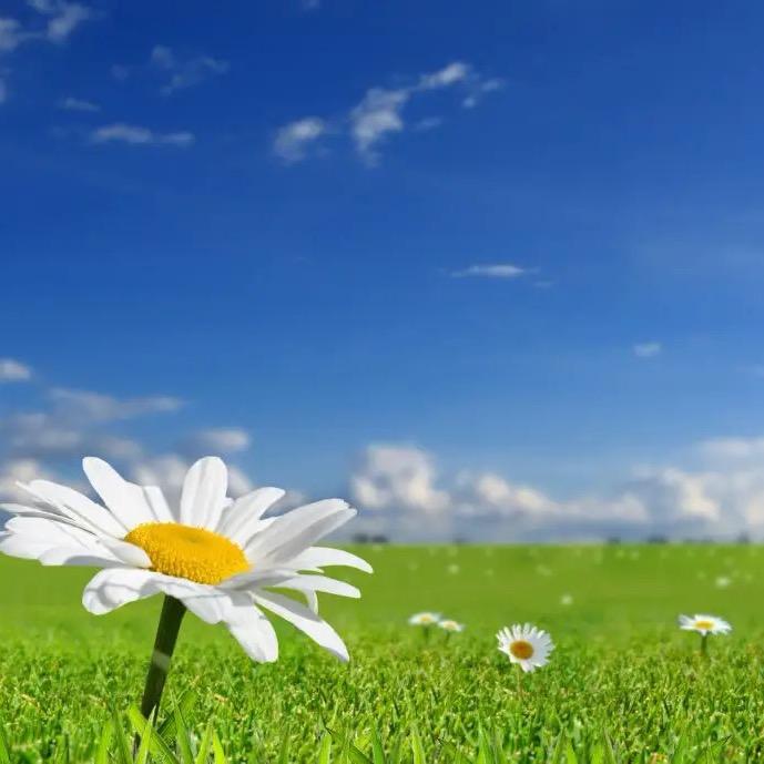 小黑书丫😜晴空🍓