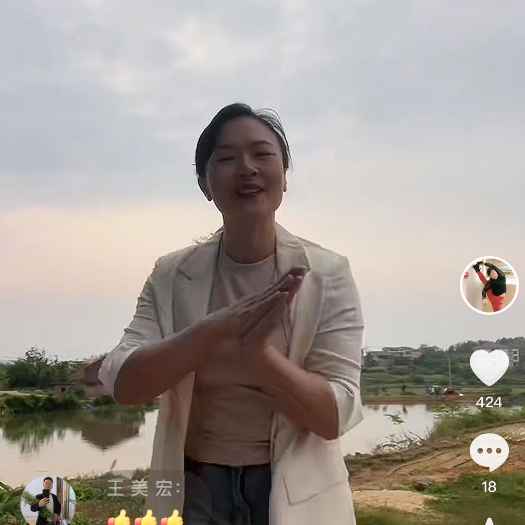 随风一枝梅