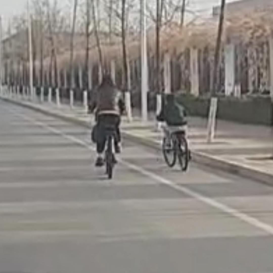 乐翔高端托管WT07777