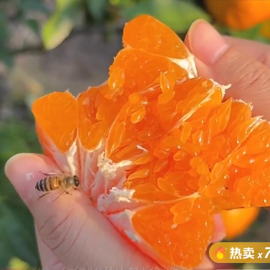 语骆生鲜