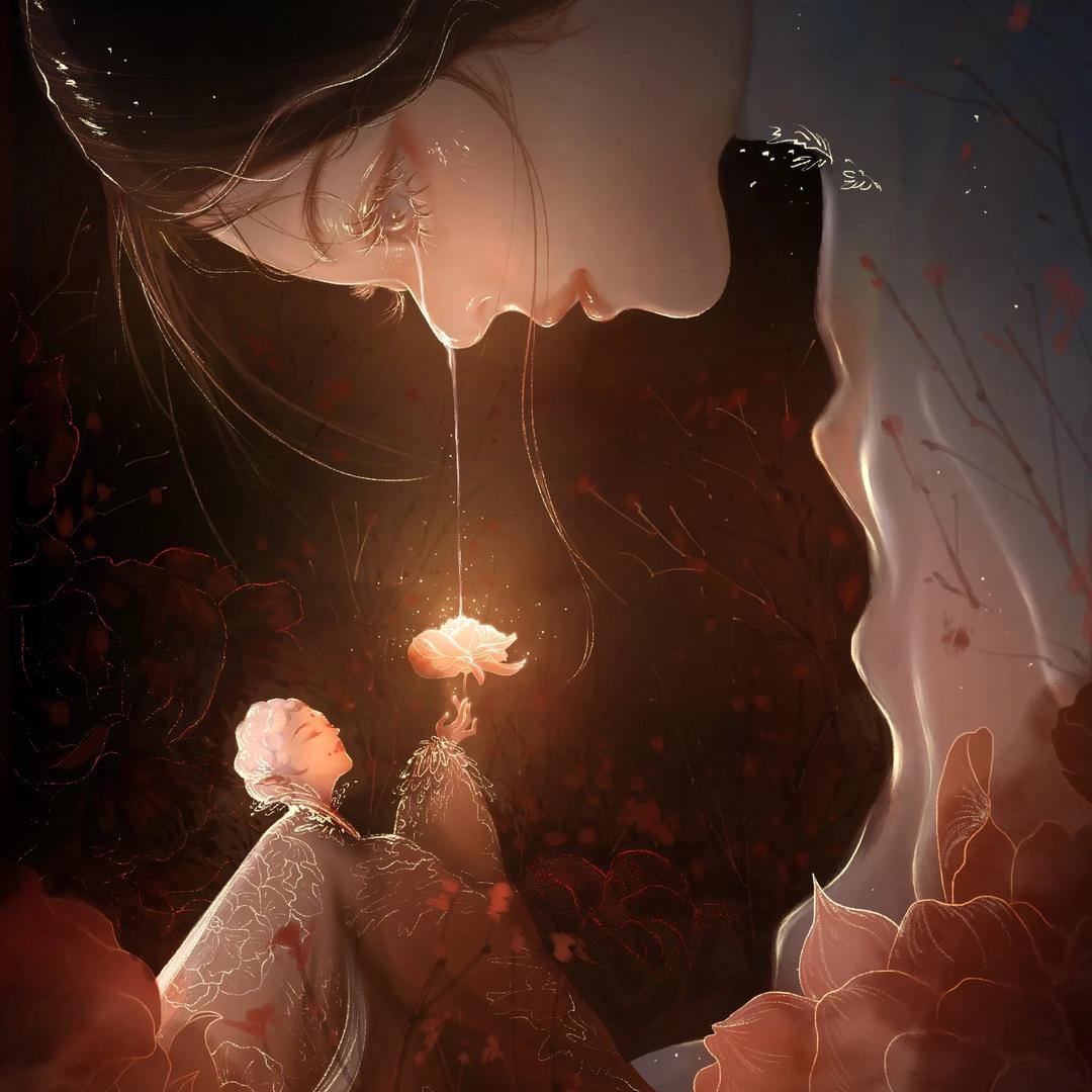 摄影师白鹭（可约📷）