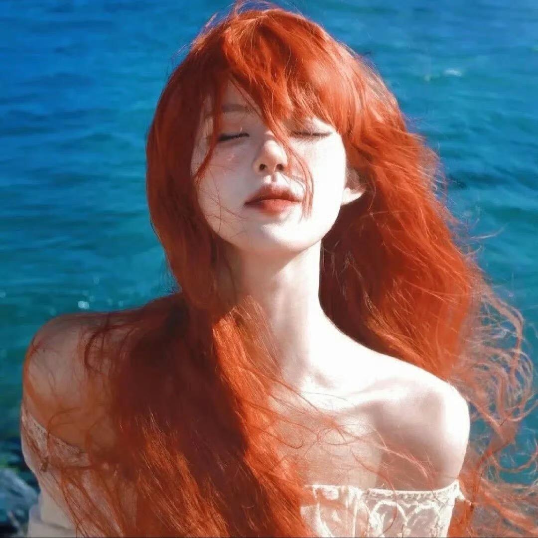 一只孤独的野受在舔舐伤口