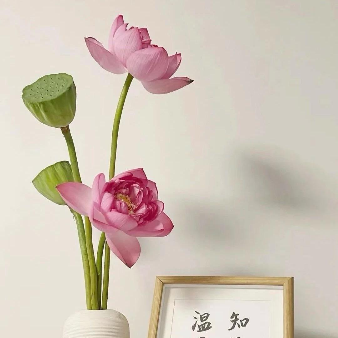 琴瑟和鸣