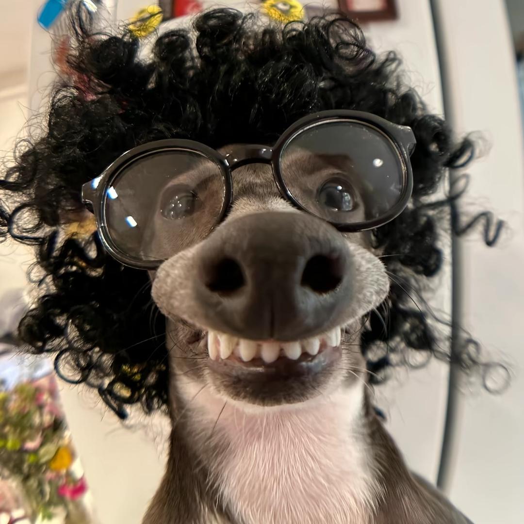 嗡嗡嗡嗡嗡嗡嗡