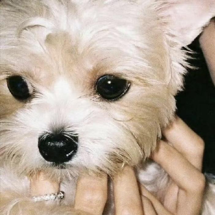 兄弟当机长起飞后被我抓住结果发现照片是我