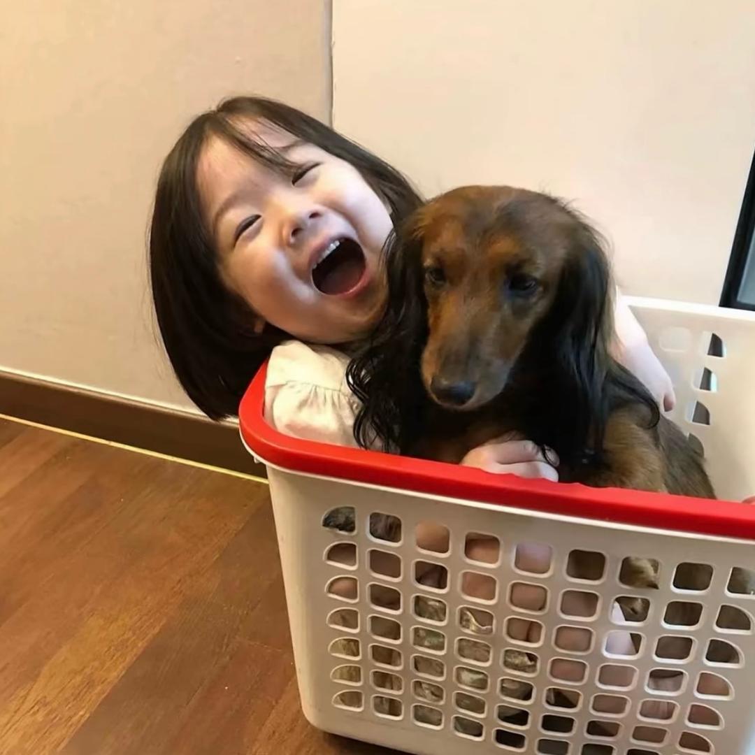 老公假死偷窥我上坟十八年