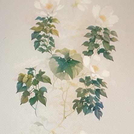 美美的