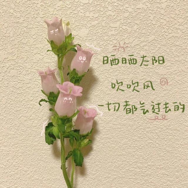 Yz&🌸😘