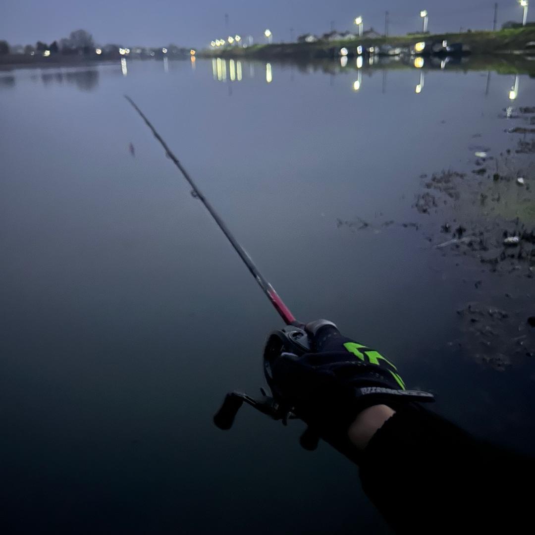 🥇特级喂鱼大师🎣