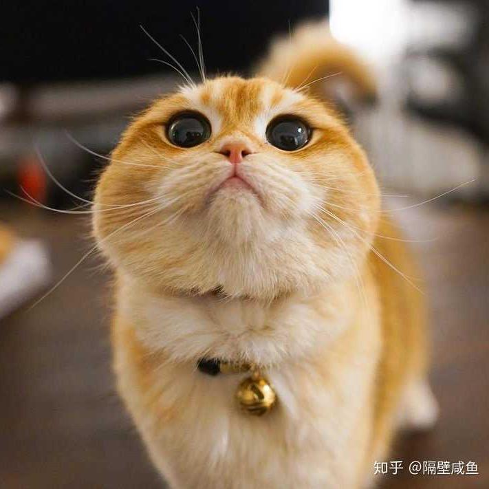来自火星的我