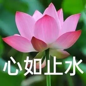 小朱就是要上岸啊