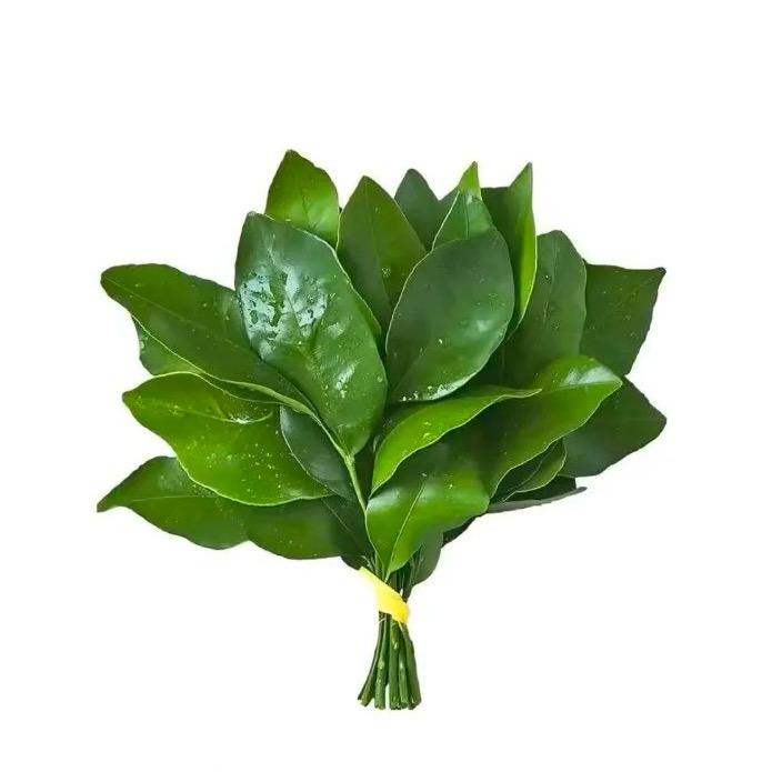 小虾吃面条.