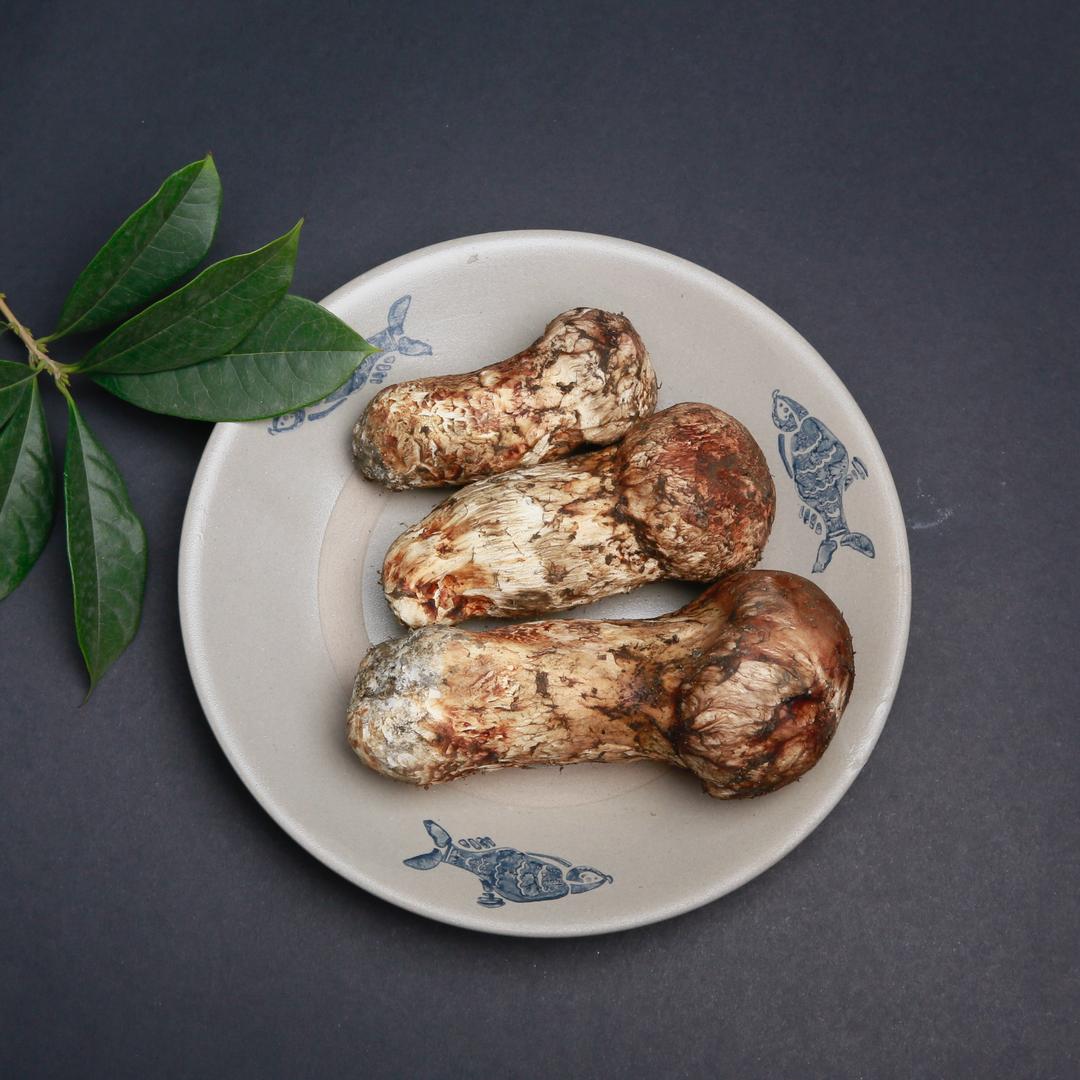 臻森鲜高原精品食材