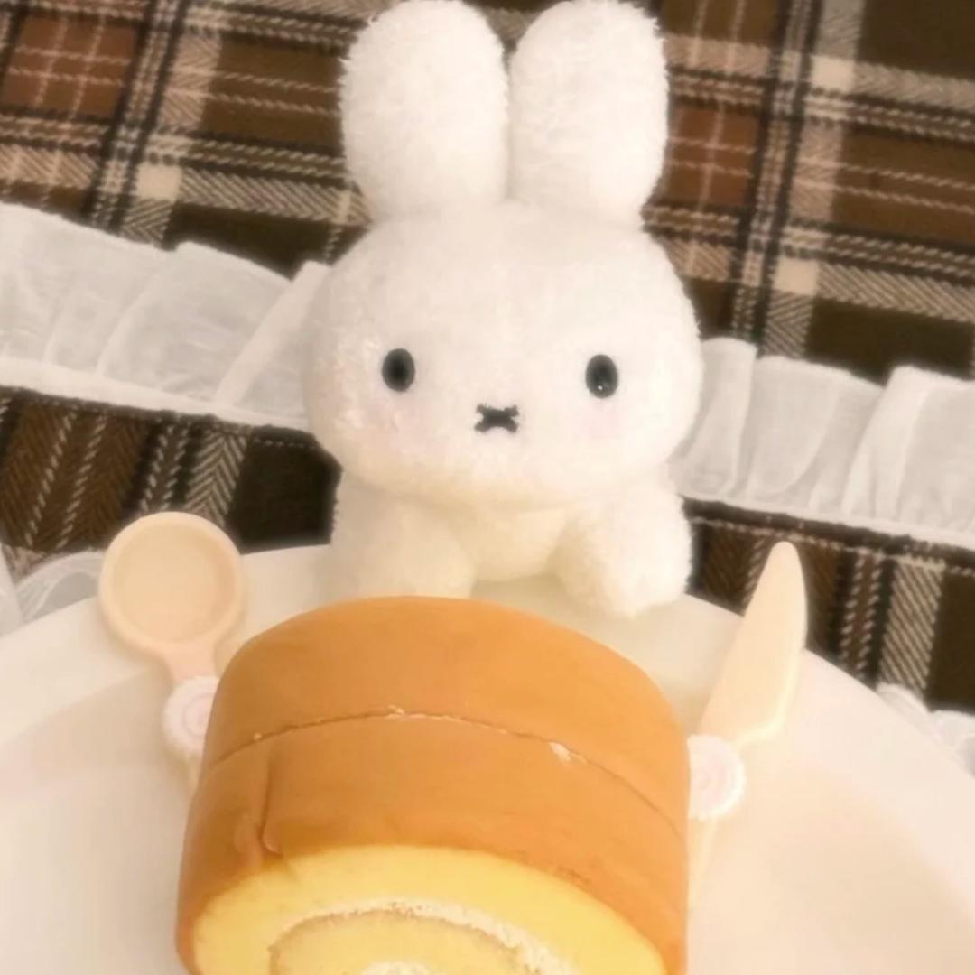 糕糕在上