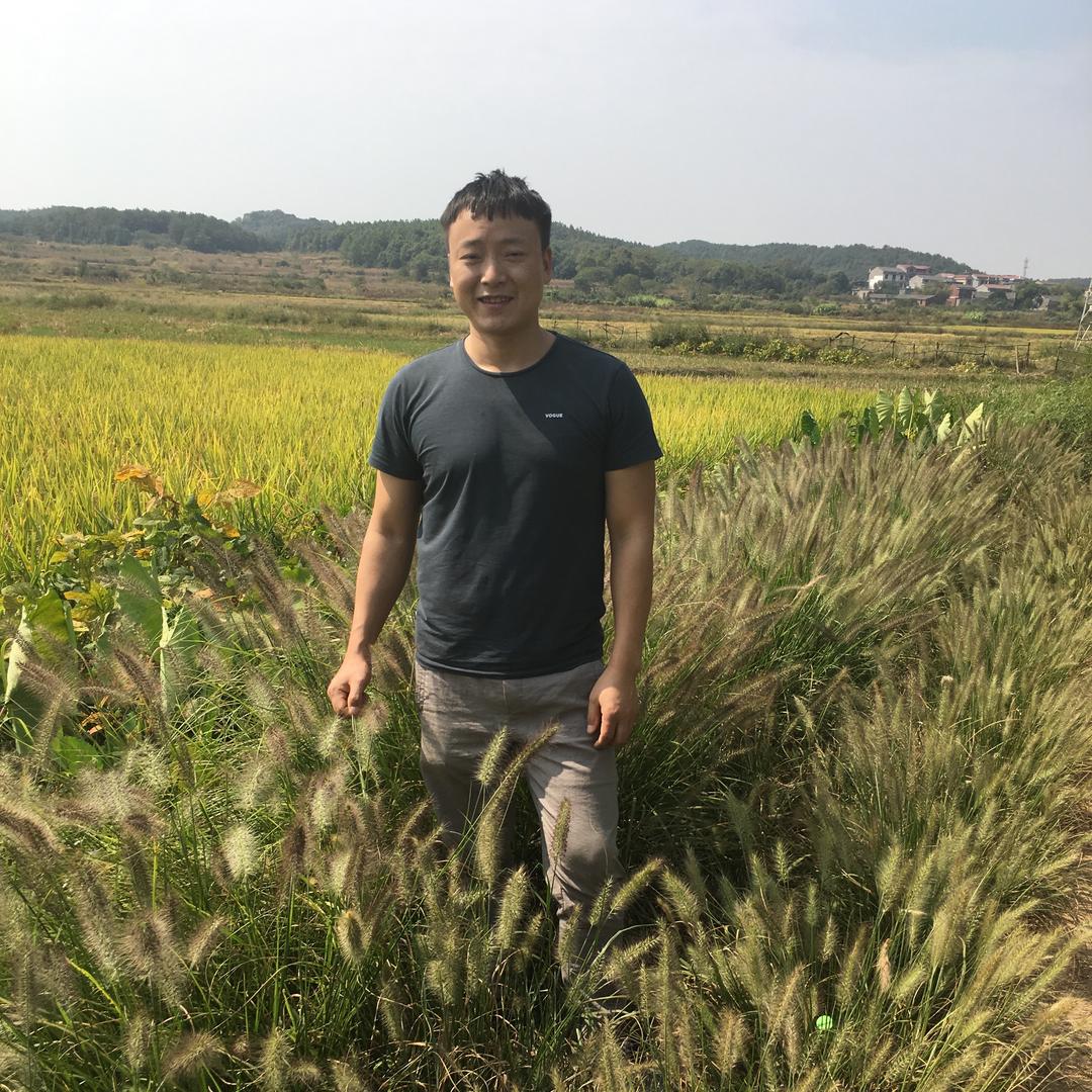 美食教程